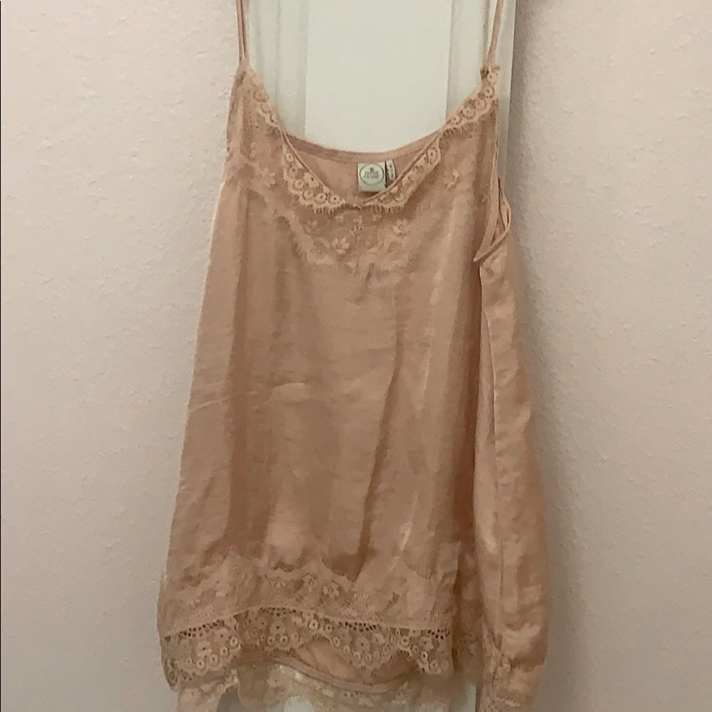 Blush Silk Lace Paper Crane Cami Top